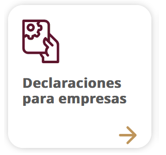 Declaraciones empresas